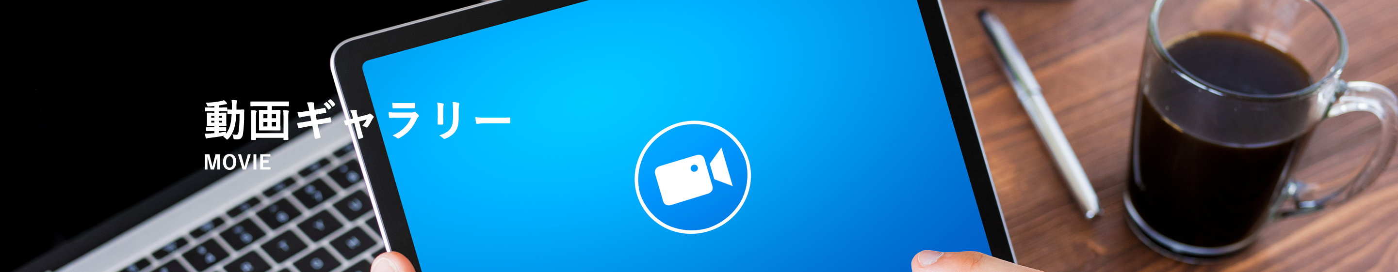 動画ギャラリー